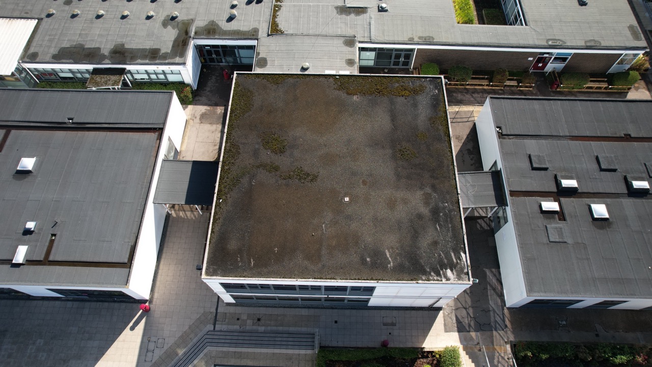A photo taken from a drone at during one of our surveys